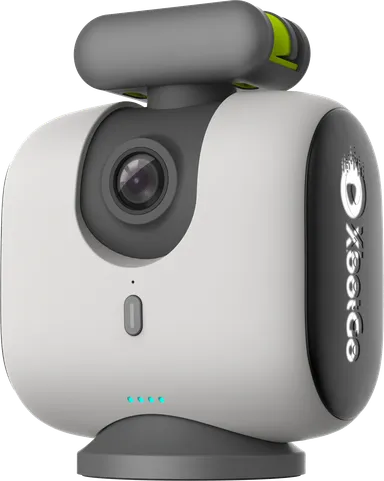 ホワイトグレーカラー