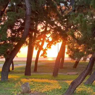夕陽の名所　二色の浜　都会のオアシス　海辺を感じる場所