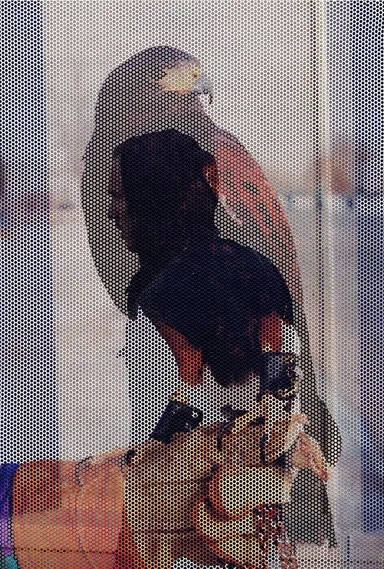 「フォトイシュー」掲載作品　(c) Ben Pier & Peter Sutherland