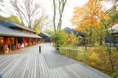 秋色に染まるハルニレテラス