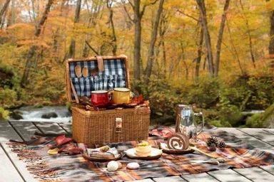 紅葉の森をスイーツピクニック