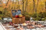 紅葉の森をスイーツピクニック
