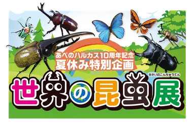 世界の昆虫展