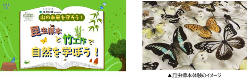 夏休みの自由研究は映画館で完成させよう！～第1弾～
住友林業presents
 「山の未来を守ろう！昆虫標本と竹工作で自然を学ぼう！」  
8月18日（日）にOSシネマズ神戸ハーバーランドにて開催
