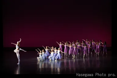 ワルプルギスの夜　Hasegawa Photo pro.