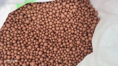 きよみずボール