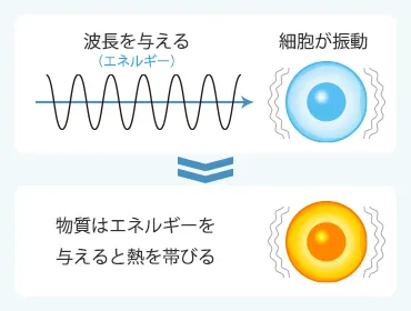 振動による活性化