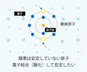 細胞との酸化結合を抑制