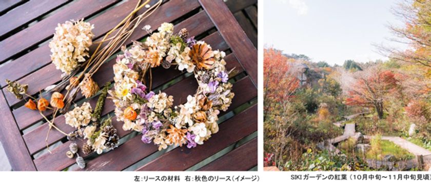 ROKKO森の音ミュージアム
森の音フラワーアレンジメント 秋色のリース作り
紅葉シーズンに楽しむ秋のワークショップ
2024年10月18日（金）