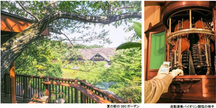 ROKKO森の音ミュージアム お盆期間限定
朝のSIKIガーデン＆楽器準備公開
自動演奏バイオリンの調弦など公開実演
