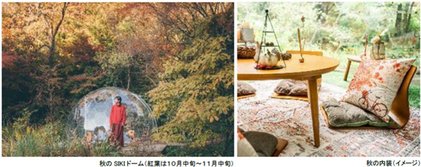 ROKKO森の音ミュージアム
秋の新プラン「SIKIドーム 秋の彩りカナッペプラン」
秋にぴったりのメニュー、内装が期間限定で登場
2024年8月24日（土）～11月27日（水）