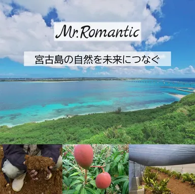 宮古島の有機農家が立ち上げ