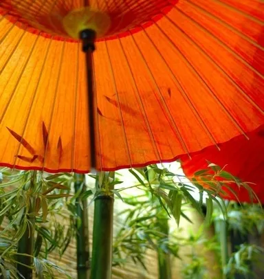 和style.cafeイメージ