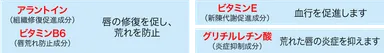 ※4つの有効成分
