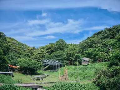 横須賀大楠山の麓、自然の聖域ショクヤボ農園