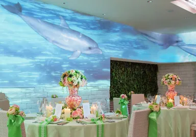 新パーティー会場ジャーディン(映像システム)