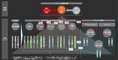 XICA COMPASSの分析概要