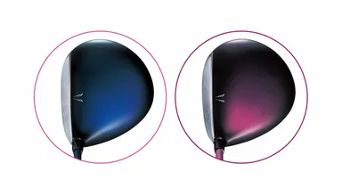 レディスヘッド2色