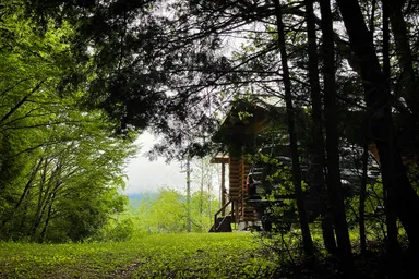 林道からログハウスへのアクセス