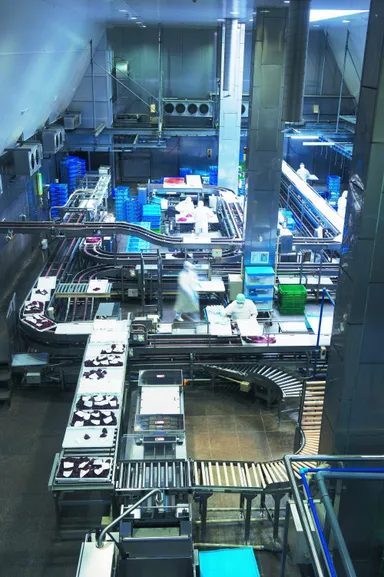 生食専用工場の風景