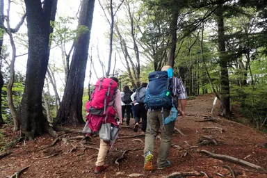 男女がペアになって交流する