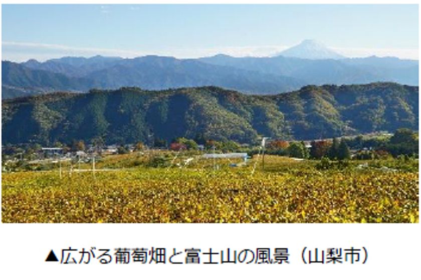 山梨県観光PRイベントを東京・新橋で開催
・9月2日～30日 山梨県観光物産フェア開催
・11月に実施するたびコトツアー
「山梨ワイナリーをめぐる日帰り旅」発売