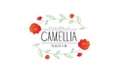 株式会社プリミティブシンクのロゴ