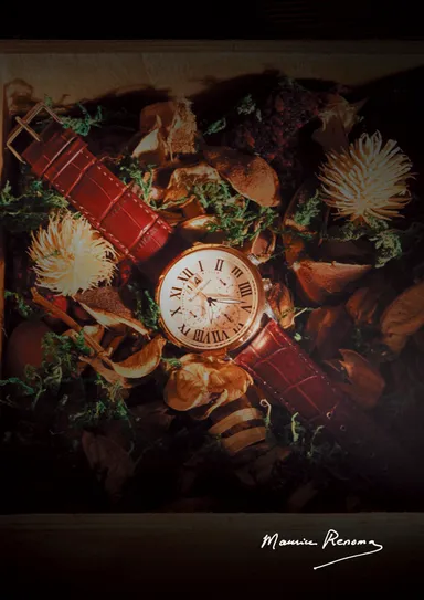 カンヌ　イメージ