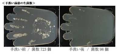 薬用石けんを使用した手洗い前後の生菌数