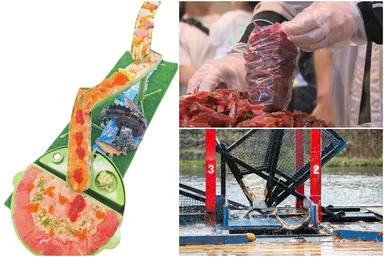 おかえりサーモン！秋の遡上祭り