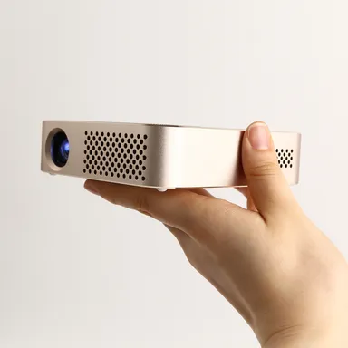 手のひらサイズ