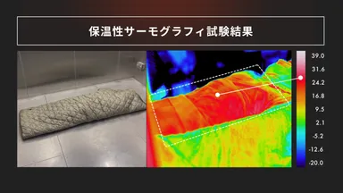 サーモイメージ