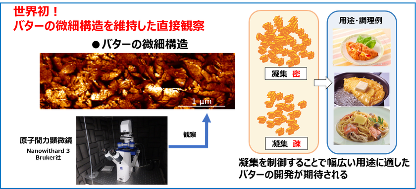 今後のバターの品質や風味向上へ期待
雪印メグミルク 原子間力顕微鏡を用いてバターの組織構造を
維持したまま直接観察できることを世界で初めて確認
2024年9月6日「酪農科学シンポジウム2024」にて発表