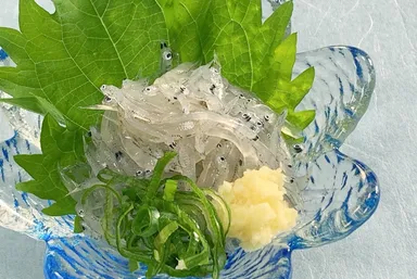 遠州灘産の生しらす