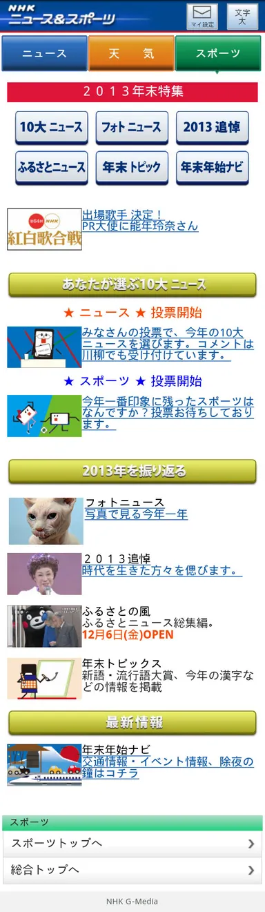 2013 年末特集のサンプルイメージ