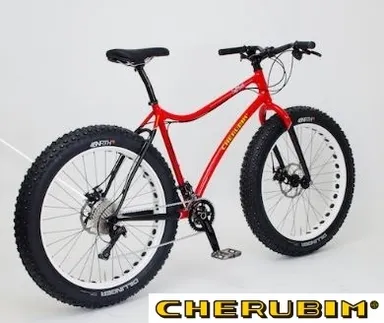 ケルビム製の南極特別仕様ファットバイク