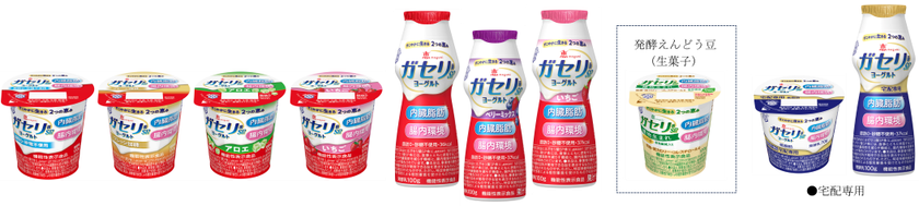 内臓脂肪・腸内環境2つの機能を持った唯一のヨーグルト
「恵 megumi ガセリ菌SP株ヨーグルト」シリーズリニューアル
「プレーン加糖」、「ドリンクタイプ いちご」新発売