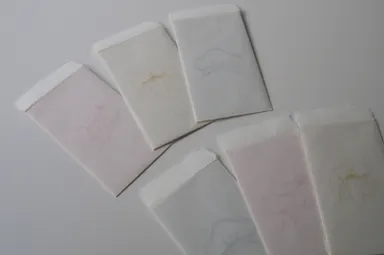 透かしを生かしたポチ袋