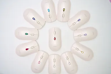 カラーバリエーション