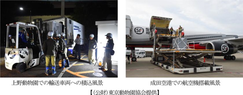 恩賜上野動物園から中国・四川省成都へ
リーリー・シンシンの中国返還をサポートしました。