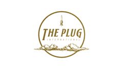 The Plug International
