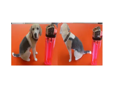 イメージ画像(4)