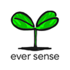 株式会社エバーセンスのロゴ