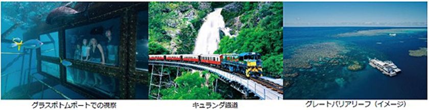 人気観光地でSDGsを身近に学ぶ
“母なる海の自然を守る”体験型ツアー
東京（成田・羽田）発
オーストラリア・フィジー3コース
10月15日（火）発売