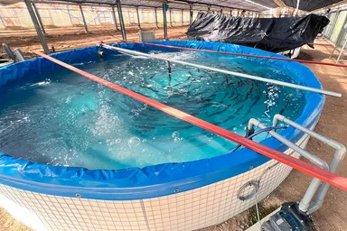 地球に優しい陸上養殖