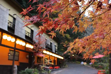 猿投温泉の紅葉04