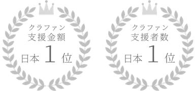 クラウドファンディングの実績
