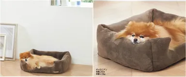 ペット用ベッド