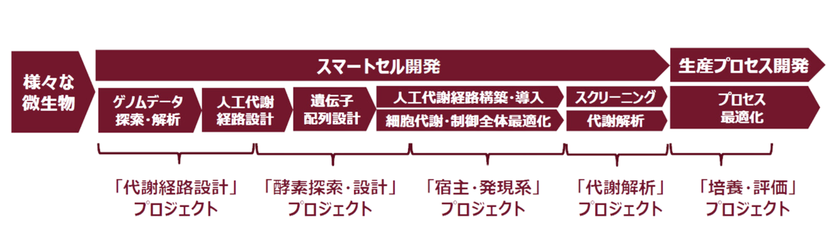 新たなイノベーションの創出に向け、神戸大学発スタートアップ企業
株式会社バッカス・バイオイノベーションに出資