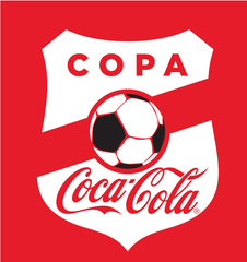 COPA COCA-COLA2013実行委員会